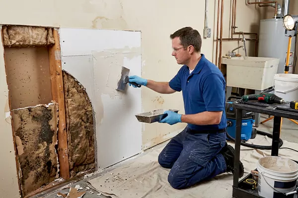 Mold and Drywall Repair Goodyear