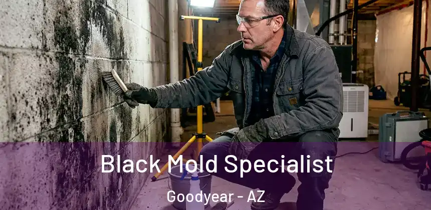 Black Mold Specialist Goodyear - AZ