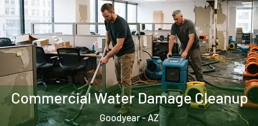  Commercial Water Damage Cleanup Goodyear - AZ