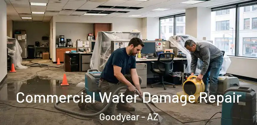  Commercial Water Damage Repair Goodyear - AZ
