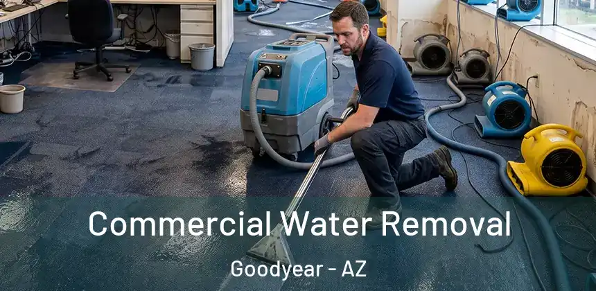  Commercial Water Removal Goodyear - AZ