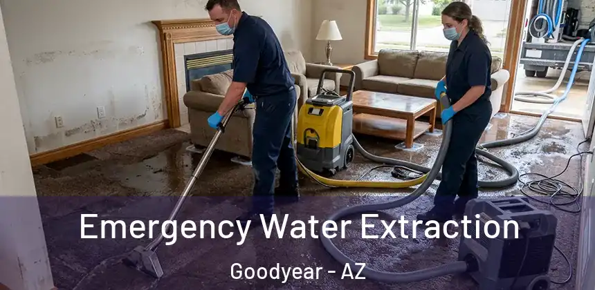  Emergency Water Extraction Goodyear - AZ