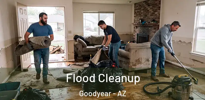 Flood Cleanup Goodyear - AZ