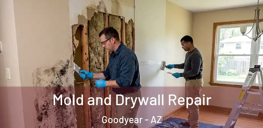 Mold and Drywall Repair Goodyear - AZ