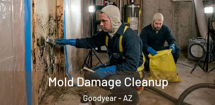 Mold Damage Cleanup Goodyear - AZ