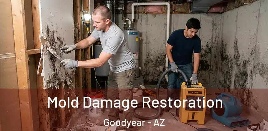  Mold Damage Restoration Goodyear - AZ