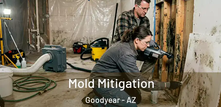 Mold Mitigation Goodyear - AZ