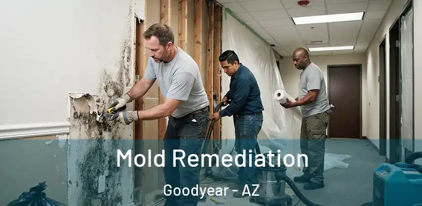 Mold Remediation Goodyear - AZ