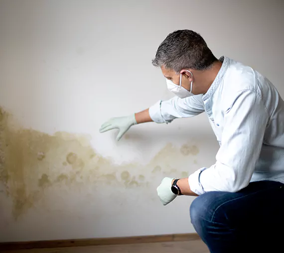 Mold Removal Service in Goodyear, AZ