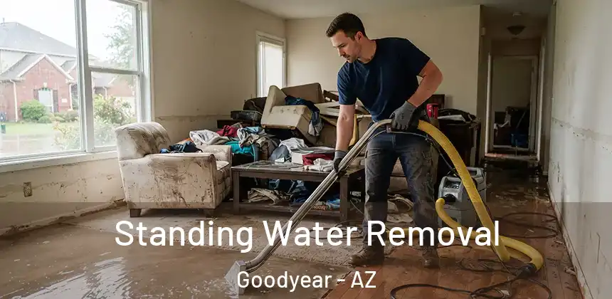 Standing Water Removal Goodyear - AZ