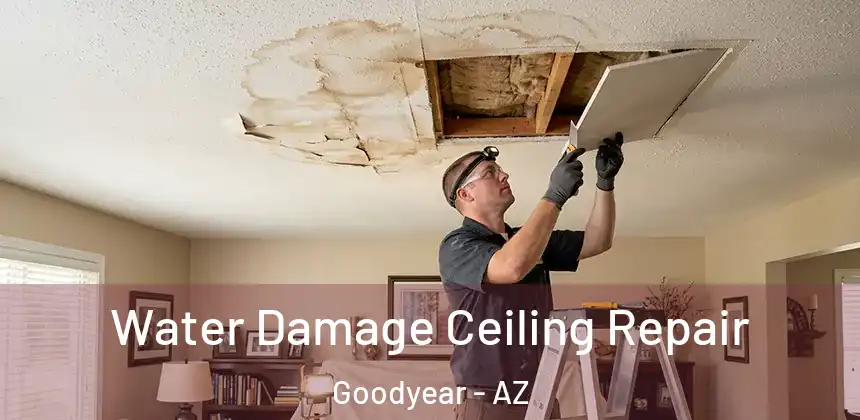 Water Damage Ceiling Repair Goodyear - AZ