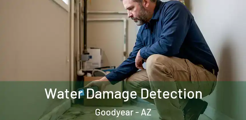 Water Damage Detection Goodyear - AZ