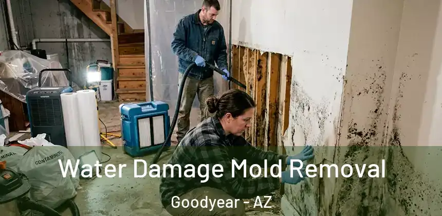 Water Damage Mold Removal Goodyear - AZ