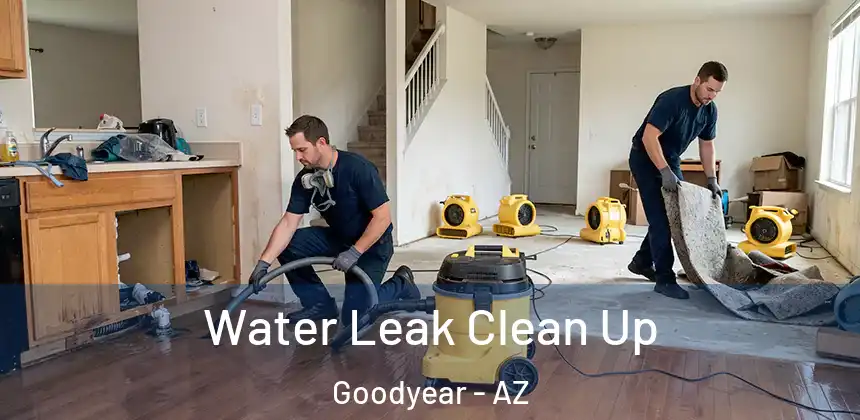  Water Leak Clean Up Goodyear - AZ