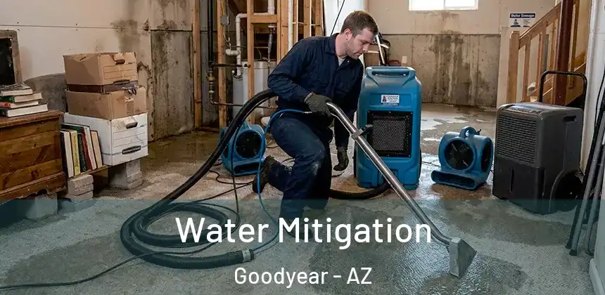 Water Mitigation Goodyear - AZ